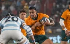 wallabies-v-los-pumas16.webp