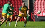 wilco-louw-springboks-2026-bpp16.webp