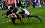 will-jordan-scores-springboks-v-all-blacks16.webp