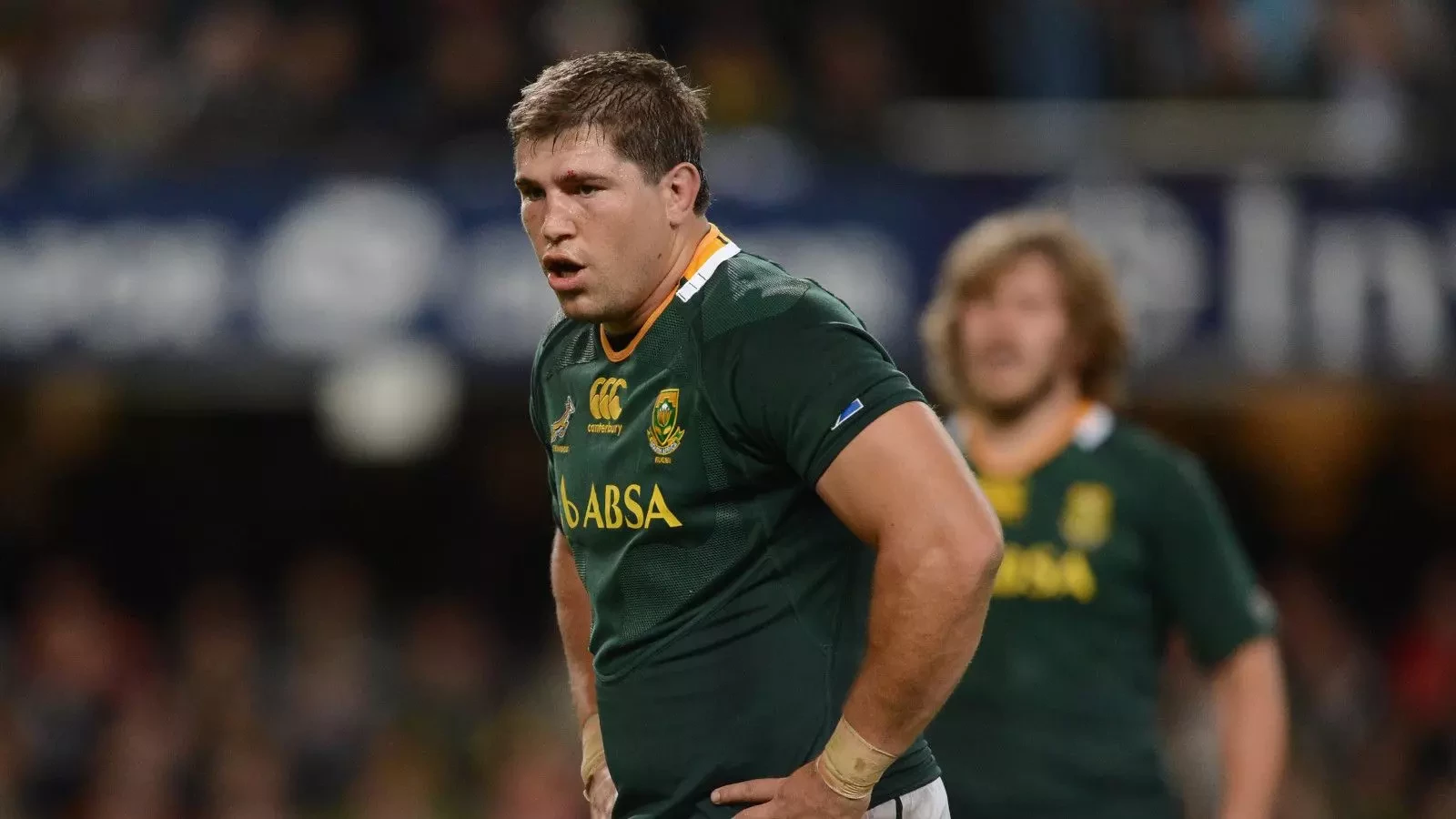 Bok powerhouse Willem Alberts to hang up his boots after one final ...