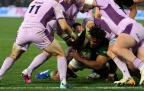 zach-porthen-springboks-v-scotland-2026-alamy16.webp